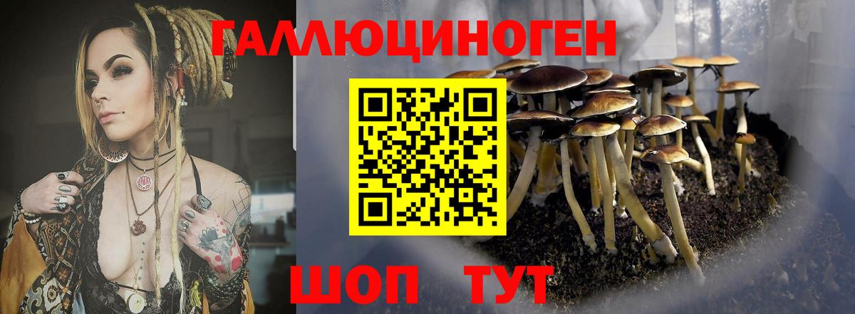 Заводоуковск  Псилоцибиновые грибы MAGIC MUSHROOMS  Вход с VPN 