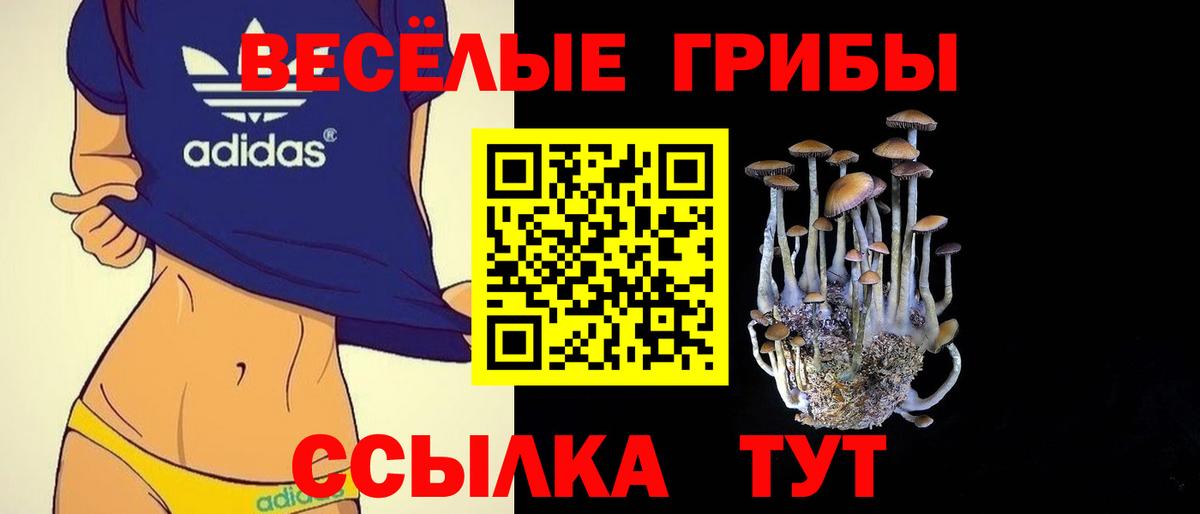 Галлюциногенные грибы Psilocybine cubensis Заводоуковск